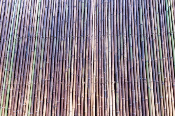 Bambus v zelené, žluté a hnědé pozadí — Stock fotografie