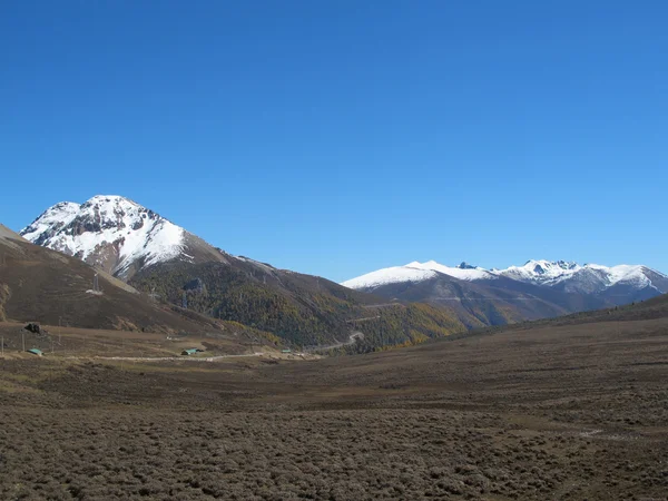 Reserva Natural Montanha Neve Baimang Diqing Yunnan China — Fotografia de Stock