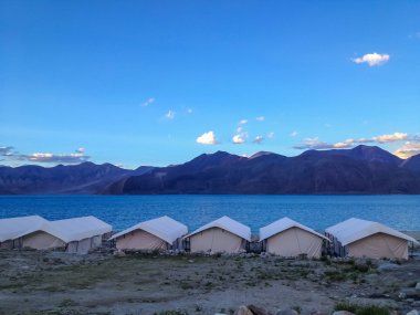 Pangong Gölü 'nde kamp çadırı, Leh, Ladakh, Hindistan