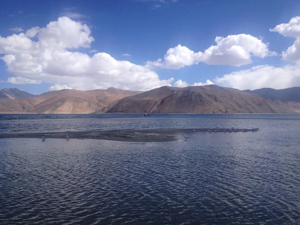 Góry Pangong Tso Jezioro Jest Ogromne Jezioro Ladakh Wysokość 350 — Zdjęcie stockowe