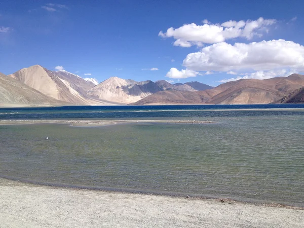 Pangong Lake Pangong Tso Leh Ladakh Jammu Kashmir India — стоковое фото