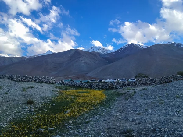山とキャンプ板門店 ラダックの巨大な湖で 背景には雪のピークと青空があり インドからチベットまで広がっています ラダック ジャム カシミール インド — ストック写真