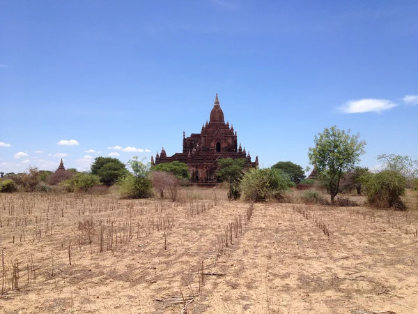 Antiikin Temppeleitä Bagan Myanmar — kuvapankkivalokuva