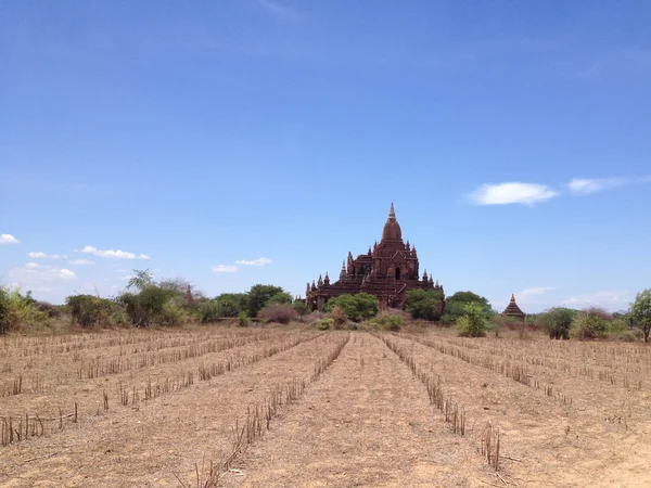 Antiikin Temppeleitä Bagan Myanmar — kuvapankkivalokuva