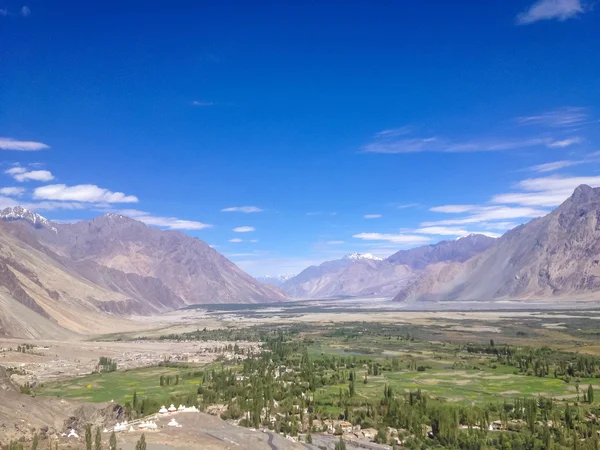 Nubra Tal Von Diskit Gompa Leh Ladakh Indien — Stockfoto