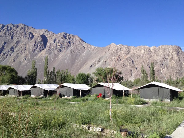 Nubra Valley Σκηνή Στρατόπεδο Λαντάκ Ινδία — Φωτογραφία Αρχείου