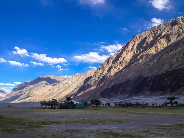 Nubra Tal Leh Ladakh Indien — Stockfoto