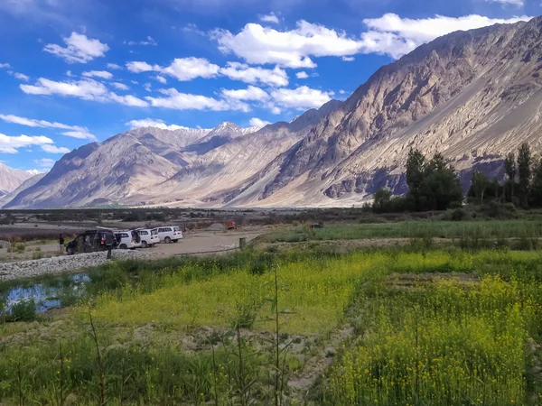 Ladakh Ινδία Ιουλ Τουρίστες Επισκέπτονται Την Κοιλάδα Nubra Ladakh Ινδία — Φωτογραφία Αρχείου
