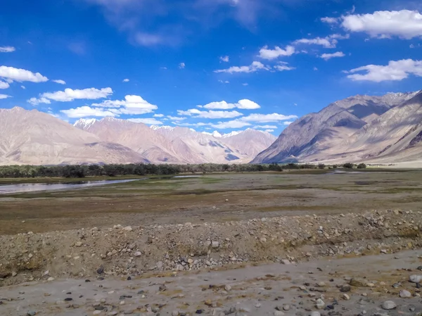 Nubra Valley Ladakh Jammu Kasjmir India — Stockfoto