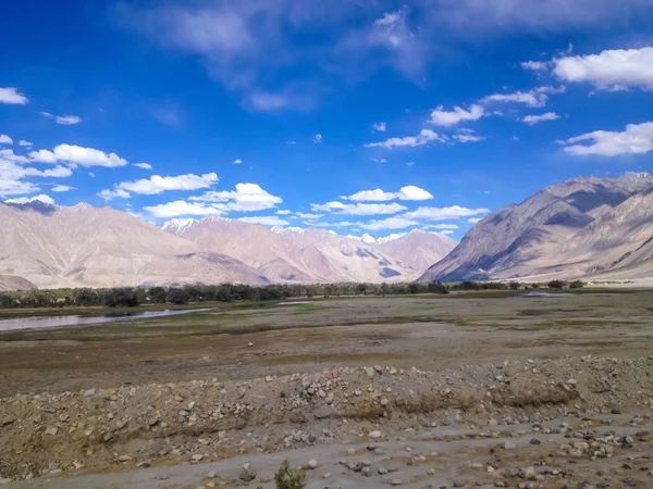 Nubra Valley Ladakh Jammu Kašmír Indie — Stock fotografie