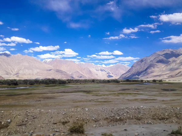 Nubra Valley Ladakh Jammu Cachemire Inde — Photo