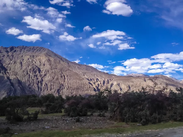 Nubra Valley One Greenest Valleys Leh Ladakh India — 스톡 사진