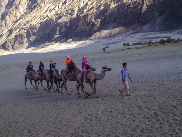 Leh Ladakh India Julio 2014 Carmels Turísticos Identificados Aldea Hunder — Foto de Stock