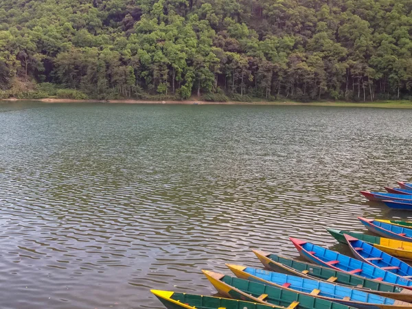 Bateaux Aviron Sur Lac Pokhara Népal — Photo