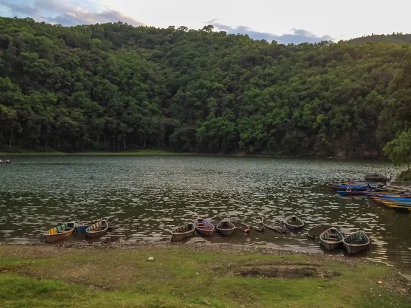 Bateaux Aviron Sur Lac Pokhara Népal — Photo