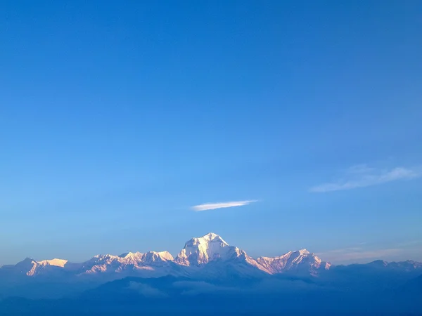 Dhaulagiri Mountain Sunrise Poon Hill Himalaya Nepal — Stock Photo, Image