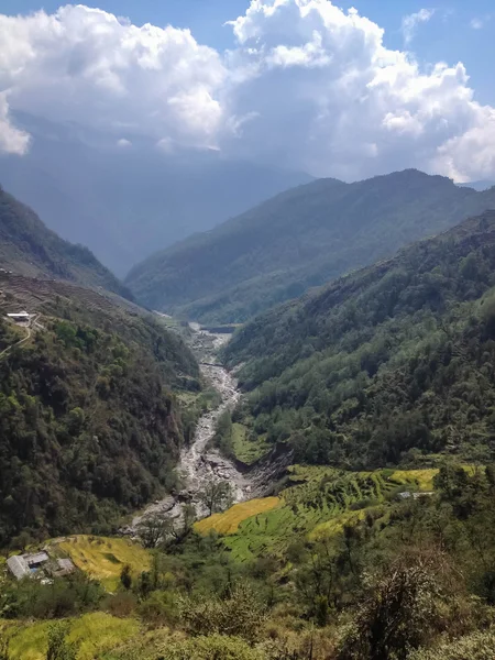 Annapurna ana kamp rotası Tadapani 'den Chomrong' a manzara, dağ, pirinç tarlası, köy, nehir, Nepal