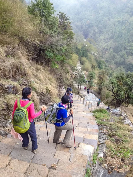 Annapurna Nepal Abril 2012 Caminata Montañeros Campamento Base Annapurna Nepal —  Fotos de Stock