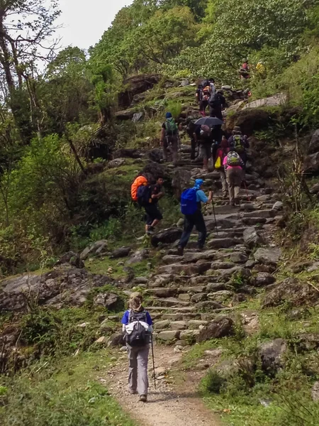 Annapurna Nepal Abril 2012 Caminata Turística Campamento Base Annapurna Nepal —  Fotos de Stock