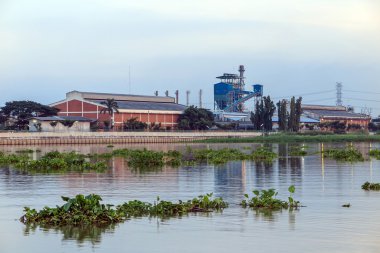 Fabrika Nehri yakınında