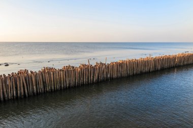 Bambu dalgakıran deniz Bangkok Tayland