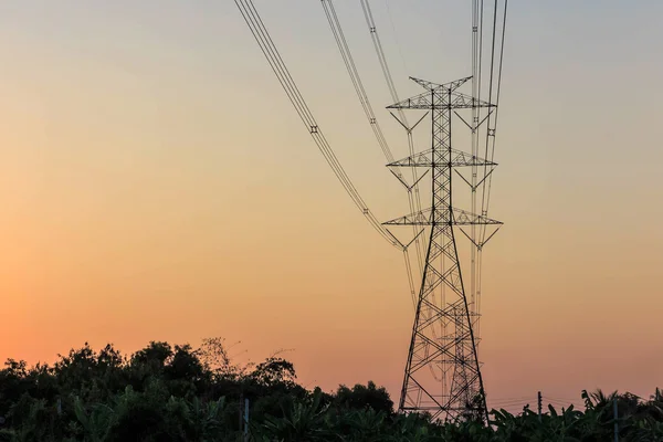 Electricity tower and electric line