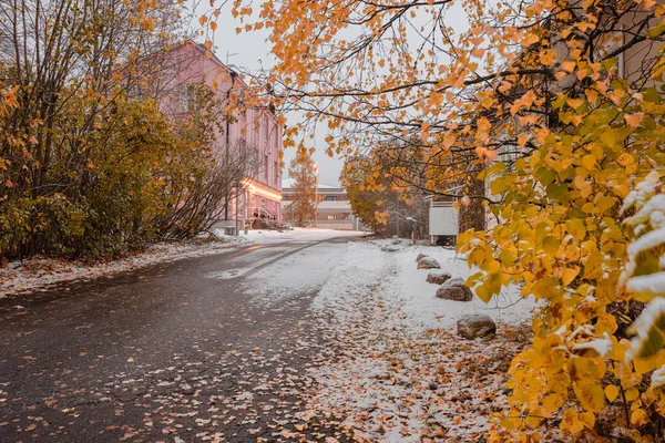 Vista panorâmica do outono com a primeira neve na estrada, árvores e floresta na neve e geada contra um fundo de céu nublado — Fotografia de Stock