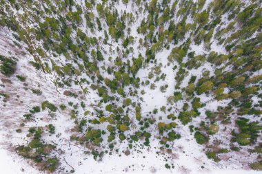 Ormandaki kış manzarası, drone. Askola, Finlandiya 'da buzul çukurları. İyi kalite