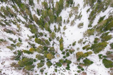 Ormandaki kış manzarası, drone. Askola, Finlandiya 'da buzul çukurları. İyi kalite