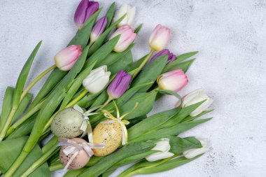 Paskalya yumurtaları, gri arka planda yukarıdan bir buket lale. İyi tatiller acil servis.