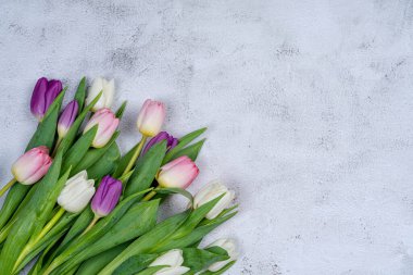 Yukarıdan gri arka planda bir buket lale. İyi tatiller acil servis.