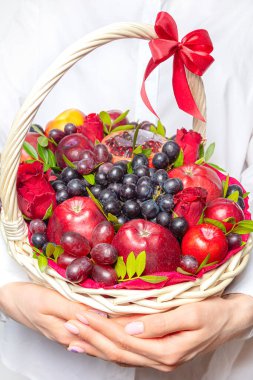 Tatil ya da piknik için elinde meyve ve bir şişe şarapla sepet var..