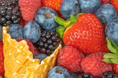 Taze böğürtlen, yabanmersini, ahududu, çilek, waffle külahlı kirpi. Kullanışlı hediye kavramı için bir yer var. Tatil için tebrikler.