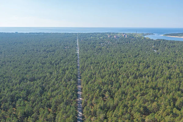 Camino Bosque Pinos Verde Zona Forestal Costa Del Golfo Finlandia — Foto de Stock
