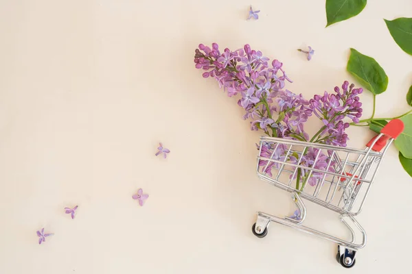 Lilas Fleurs Violettes Dans Panier Shopping — Photo