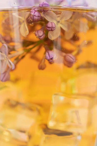 Orgona Lila Virágok Egy Pohár Teában Fogantatás Hőség Csillapítsd Szomjad — Stock Fotó