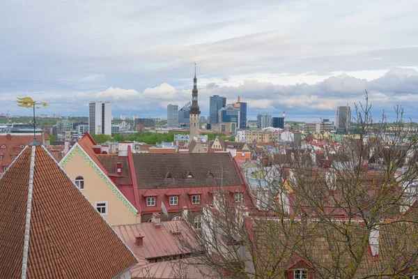 Tallin Estonia Mayo 2021 Paisaje Urbano Aéreo Con Arquitectura Antigua — Foto de Stock