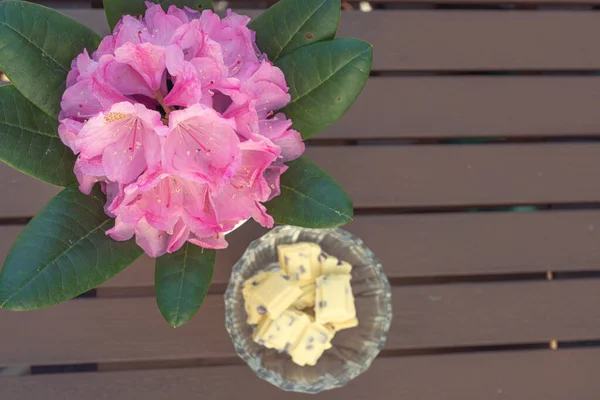 Jarrón Chocolate Blanco Una Rosa Alpina Sobre Una Mesa Madera — Foto de Stock