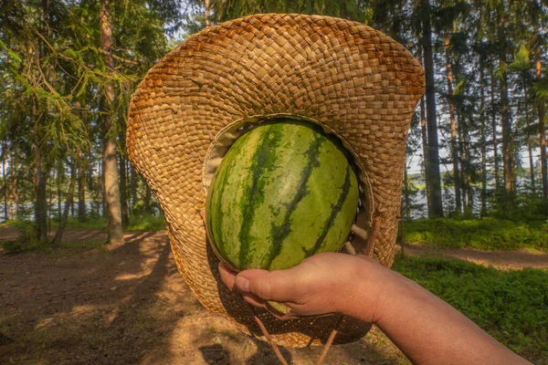 Hand Holding Striped Watermelon Straw Hat Concept Summer Has Come — Stock Photo, Image