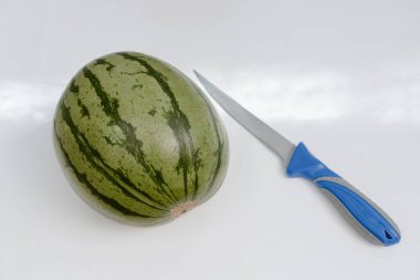 Masanın üzerinde çizgili yeşil bir karpuz var, bir bıçağın yanında..