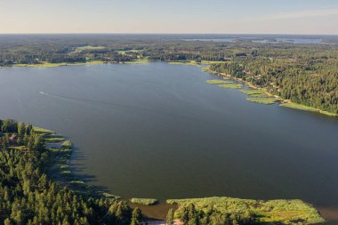 Finlandiya Körfezi 'nin kıyı şeridi. Kıyıda yoğun bir orman var. İskandinav doğası, Finlandiya. İHA 'dan fotoğraf..