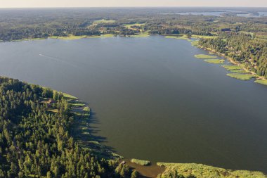Finlandiya Körfezi 'nin kıyı şeridi. Kıyıda yoğun bir orman var. İskandinav doğası, Finlandiya. İHA 'dan fotoğraf..