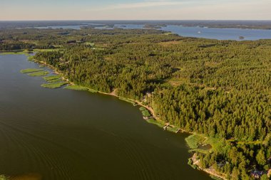 Finlandiya Körfezi 'nin kıyı şeridi. Kıyıda yoğun bir orman var. İskandinav doğası, Finlandiya. İHA 'dan fotoğraf..