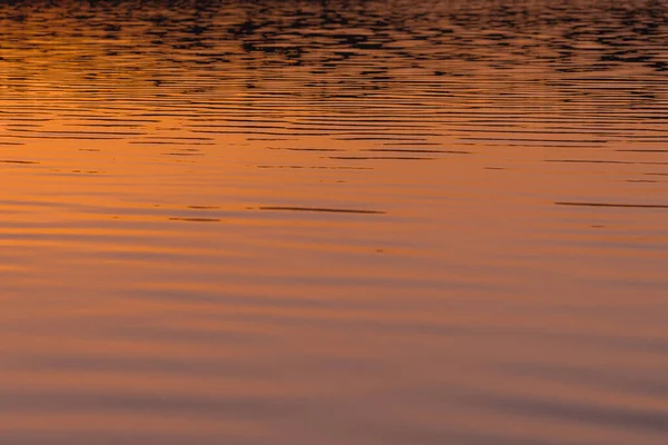 Відображення Сонця Воді Літній Світанок Крупним Планом — стокове фото