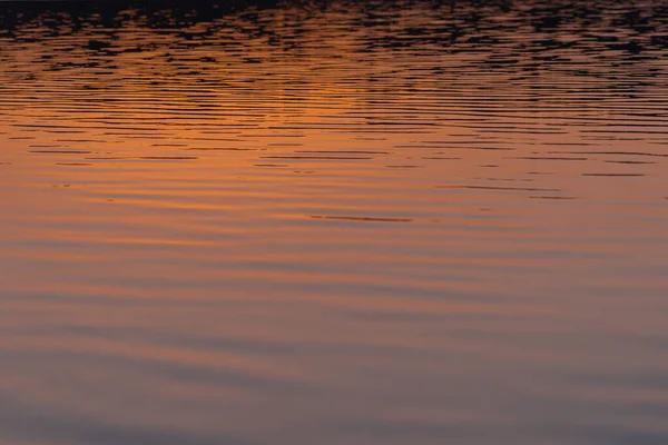 Відображення Сонця Воді Літній Світанок Крупним Планом — стокове фото