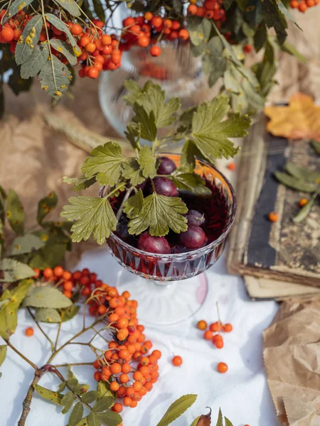 Still Life Glass Red Wine Gooseberries Mountain Ash Autumn Mood — Stock Photo, Image