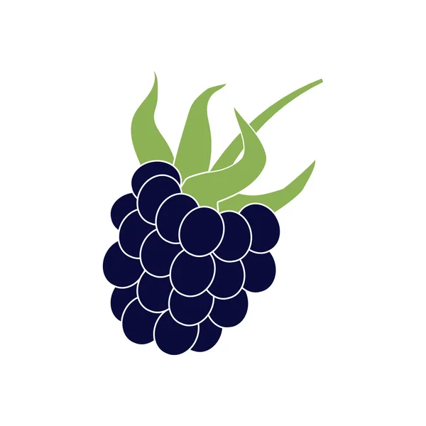 Blackberry Berry Icono — Archivo Imágenes Vectoriales