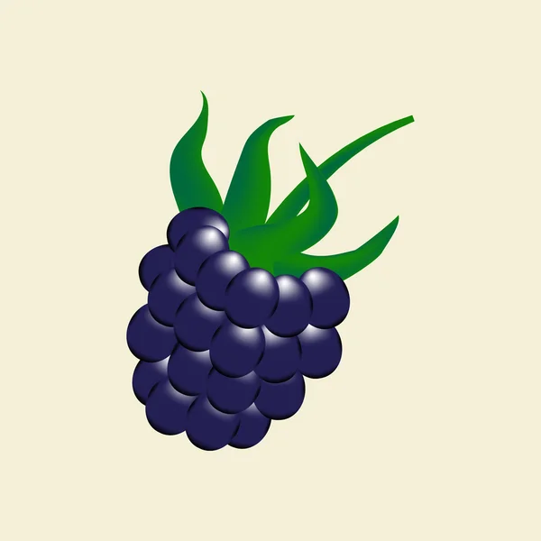 Blackberry Berry Icono — Archivo Imágenes Vectoriales