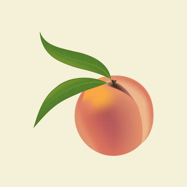 Perzik Fruit pictogram — Stockvector