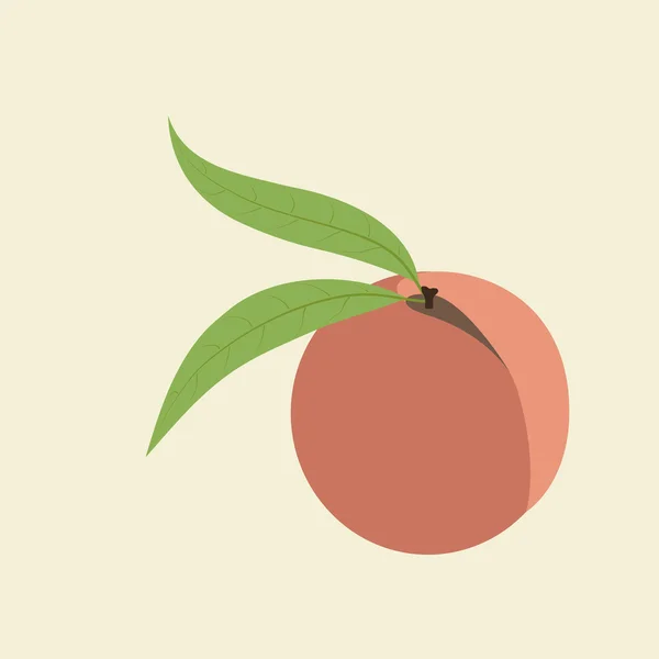 Perzik Fruit pictogram — Stockvector
